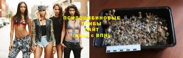 MESCALINE Лихославль