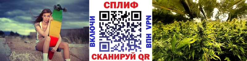 Канабис сатива  Купить где  Орёл 